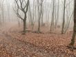 „Vyhľadaj a znič”