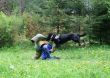 Slovensko-český výcvik psovodov na Horehroní