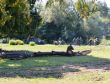 Rekonštrukcia historických bojov v Oravskej Porube