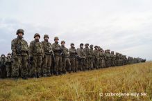 Pracovné rokovanie k tvorbe Bojovej skupiny formátu V4 (BGV4)